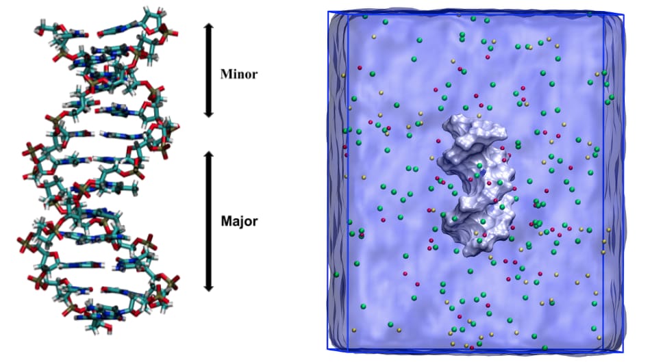 Research Image