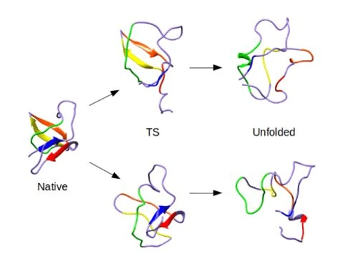 Research Image