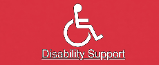 Disability Support